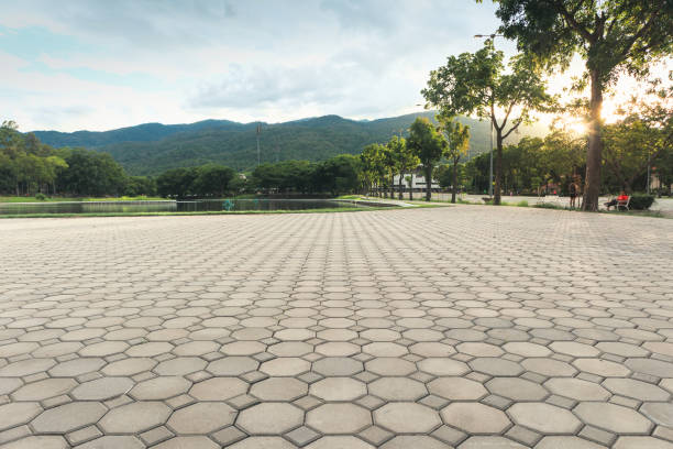 Best Residential Driveway Paver Services  in Mountain View Ranches, AZ